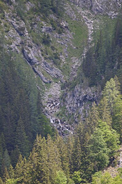 Datei:Sumpergraben gnanitz-0198-2024-06-05.jpg