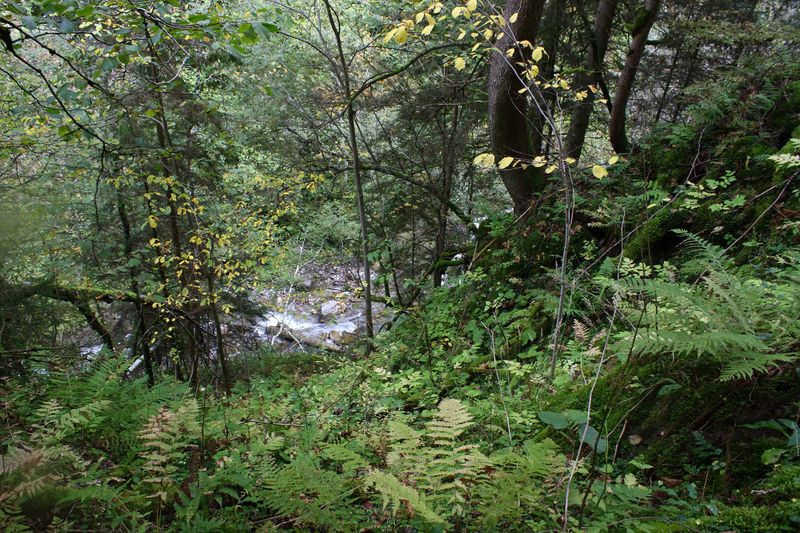 Datei:Teufelsschlucht Seewigtal 73430 2014-10-02.jpg