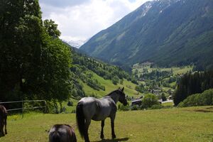 Untertal 2215 2009-05-29.jpg