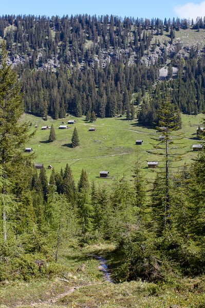 Datei:Weißenbachalm-103-2020-05-27-2.jpg