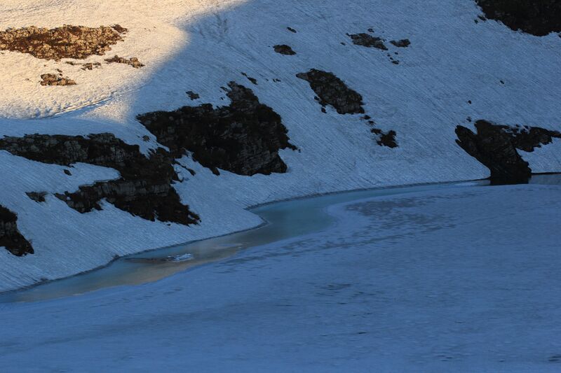 Datei:Augstsee loser 50323 2017-06-11.jpg