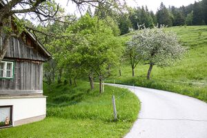 BH Poserer-0386-2023-05-27.jpg