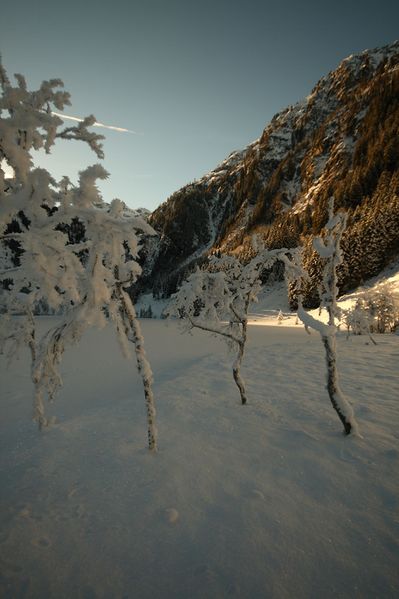Datei:Bodensee 26481 2014-01-01.jpg