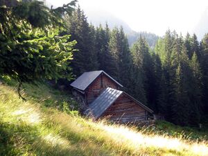 Brandalm Riesach001.jpg