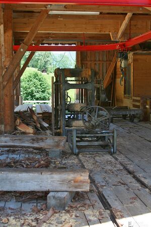 Daum kleinsölk 0027.jpg