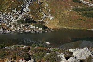 Grünsee-großsölk 1168 2013-09-25.jpg