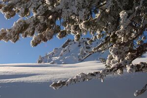 Höllermahd-preunegg 94340 2007-11-28.jpg