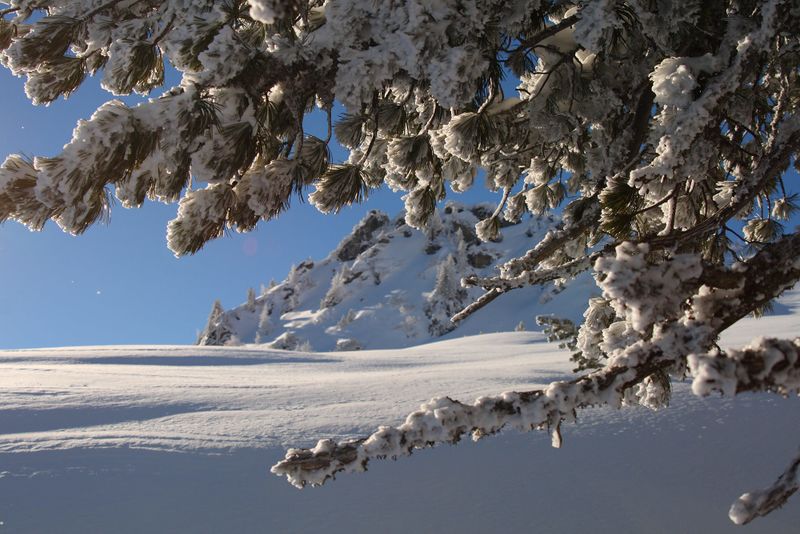 Datei:Höllermahd-preunegg 94340 2007-11-28.jpg