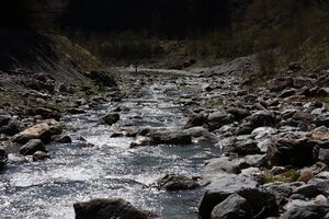 Kalte mandling016.jpg