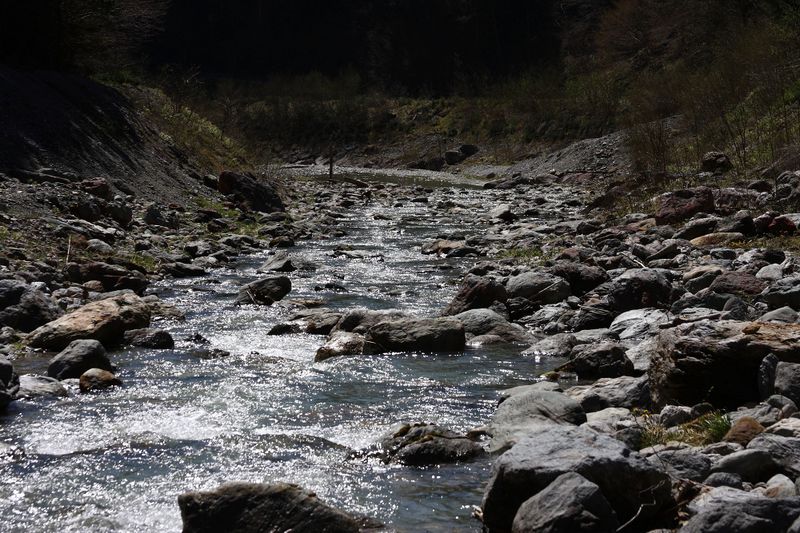 Datei:Kalte mandling016.jpg