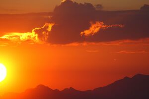 Luser 23388 2008-06-22.jpg