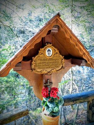 MA günter Edlinger1370790.jpg