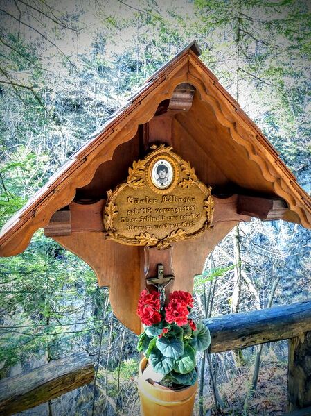 Datei:MA günter Edlinger1370790.jpg