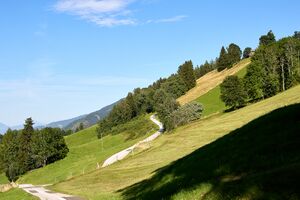 Michaelerberg Ost-0215-2023-08-14.jpg