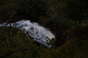 Neualmbach wsf 72751 2014-09-17.jpg