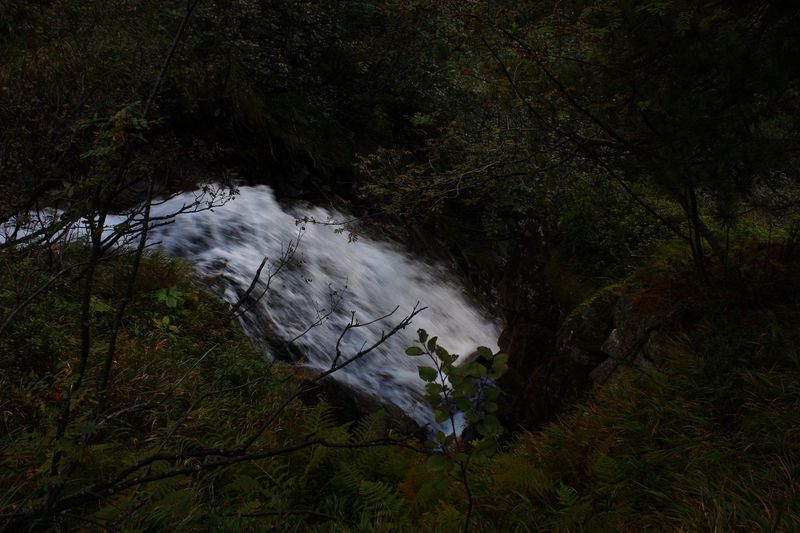 Datei:Neualmbach wsf 72751 2014-09-17.jpg