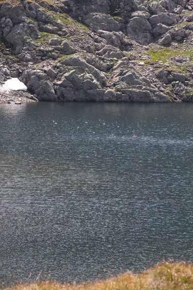 Datei:Rauhenbergsee 2868 2009-08-19.jpg