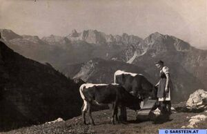 Sarsteinalm sw 007.jpg