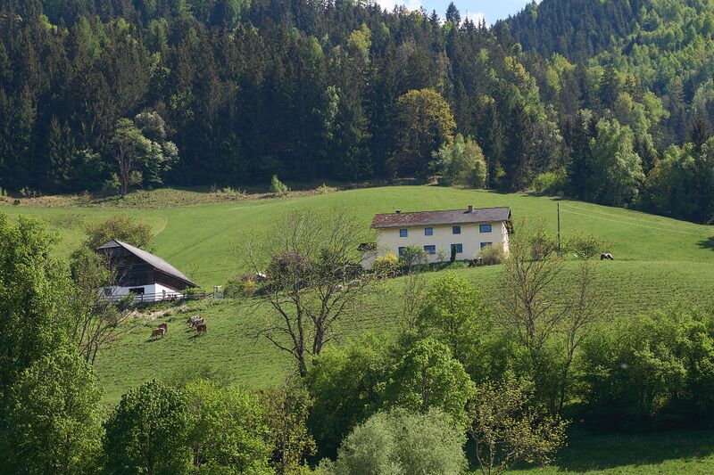 Datei:Stapferhof Bach-0067-2025-05-02.jpg