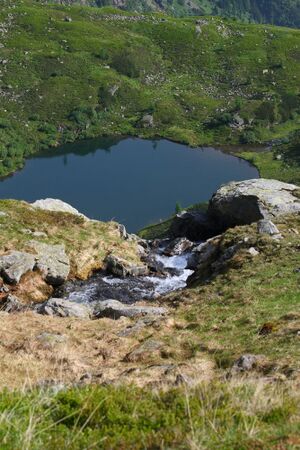 Stierkarsee 23513 2008-06-25.jpg