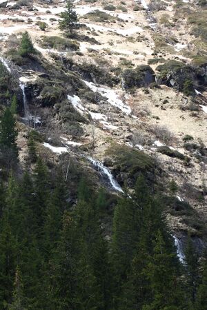 Strickerkar 55744 2014-05-02.jpg