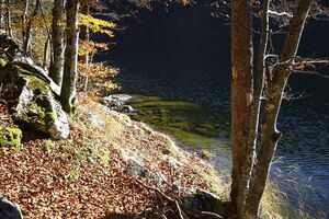Toplitzsee 77743 2014-11-03.jpg
