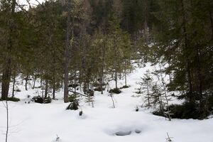 Toteisboden untertal-0064-2024-02-28.jpg