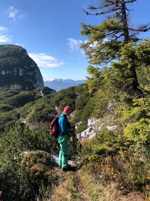 Am Sandling-3118-2021-10-11.jpg