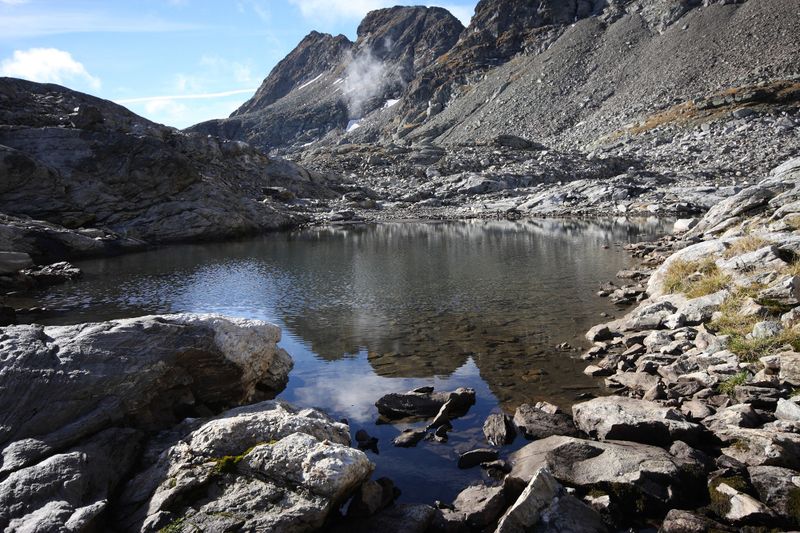 Datei:Goldlacken 0259 2013-10-08.jpg