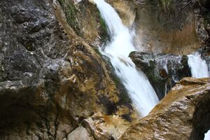 Gradenbach wsf-ahornsee 59275 2014-05-30.jpg