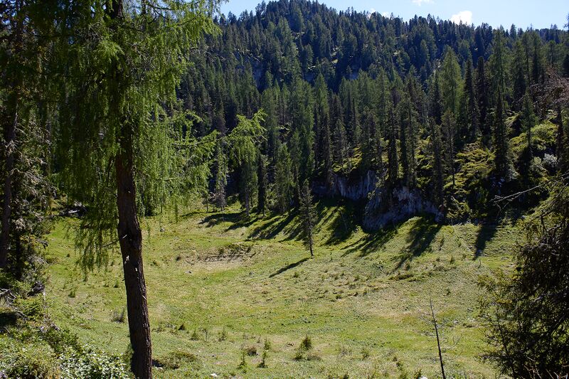 Datei:Große wiesmahd-0264-2022-06-12.jpg