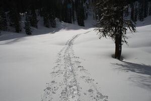 Große wiesmahd 80432 2015-01-07.jpg