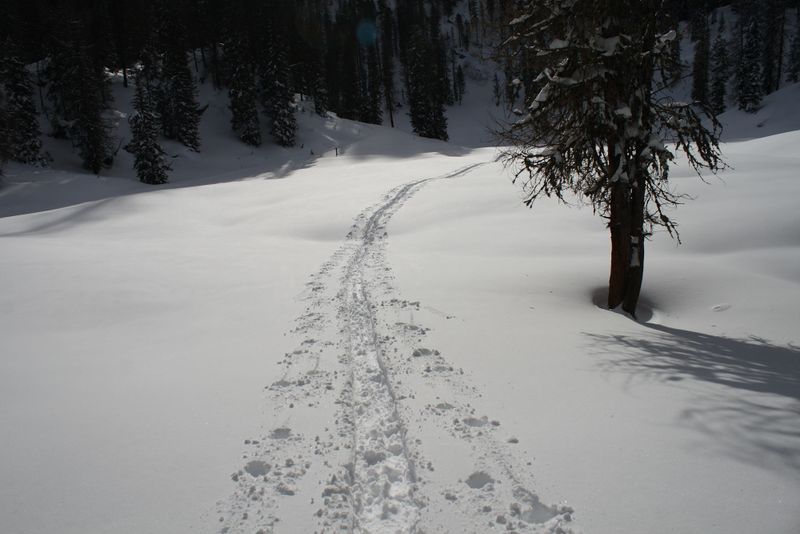 Datei:Große wiesmahd 80432 2015-01-07.jpg