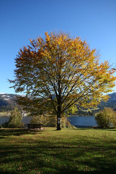 Datei:Grundlsee See 77863 2014-11-03.jpg