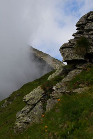 Im stegerkar 23919 2008-07-09.jpg