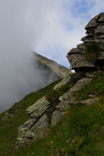 Datei:Im stegerkar 23919 2008-07-09.jpg