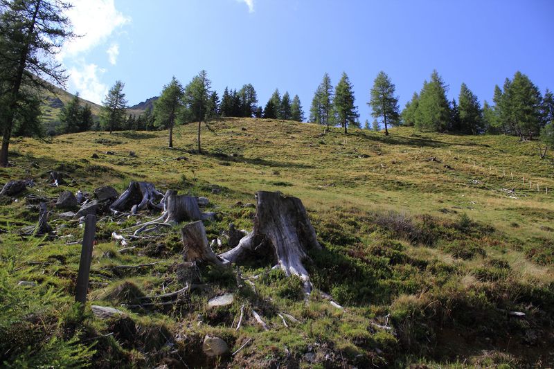 Datei:Judenalm -sattental 57406 2017-08-25.jpg