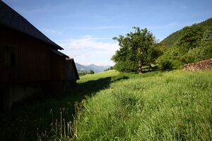 Niederstuttern 58676 2014-05-26.jpg