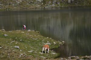 Oberer lanschitzsee 98085 2011-08-12.jpg