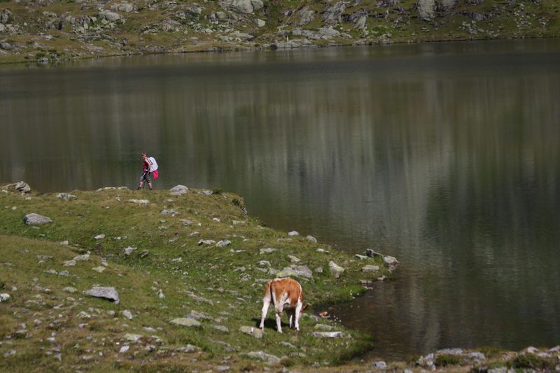 Datei:Oberer lanschitzsee 98085 2011-08-12.jpg