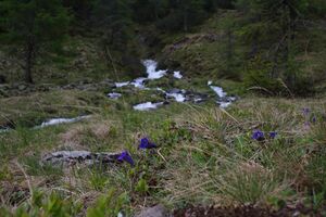 Obertalbach keinprecht 6352 2011-05-27.jpg