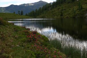 Schobersee 93198 2015-06-26.jpg