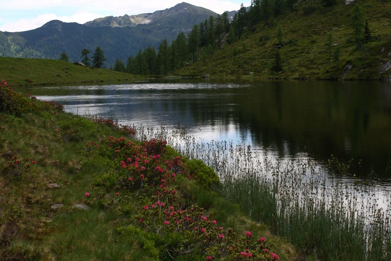 Datei:Schobersee 93198 2015-06-26.jpg