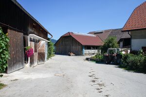 Spitzenberger bichl-1002-2012-08-20.jpg