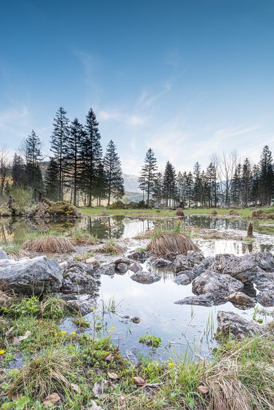 Datei:2016-04-16DSC 3110.jpg