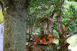 BST vlg Kreil hinterwald-31-2025-07-02.jpg