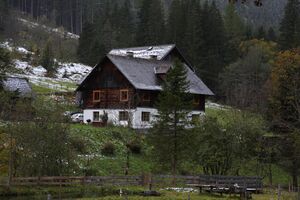 Baierlechner 7379 11-10-09.jpg