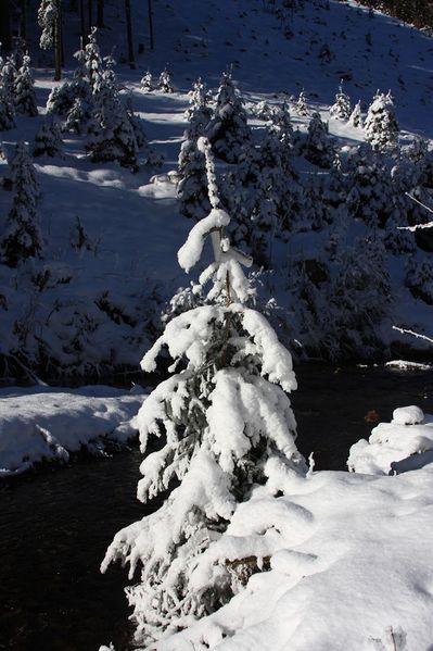 Datei:Bodenseerbach 26723 2014-01-01.jpg