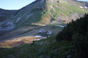 Bräuningalm 50215 2017-06-11.jpg