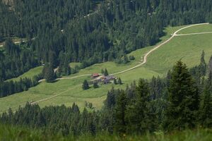 Breitlahnalm 1266 13-07-12.jpg